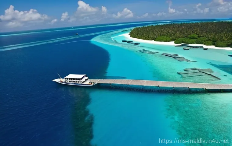 몰디브 코로나19 정책 - **Prompt:** A visually rich scene capturing the dual wonders of the Maldives: its vibrant underwater...