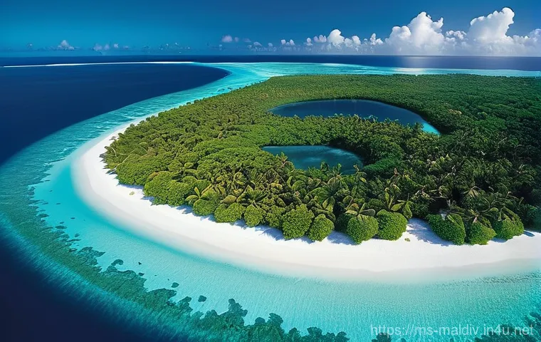 몰디브 재생에너지 프로젝트 - **Prompt 1: Maldivian Paradise Under the Sun's Gaze**
"A breathtaking aerial view of a pristine ...