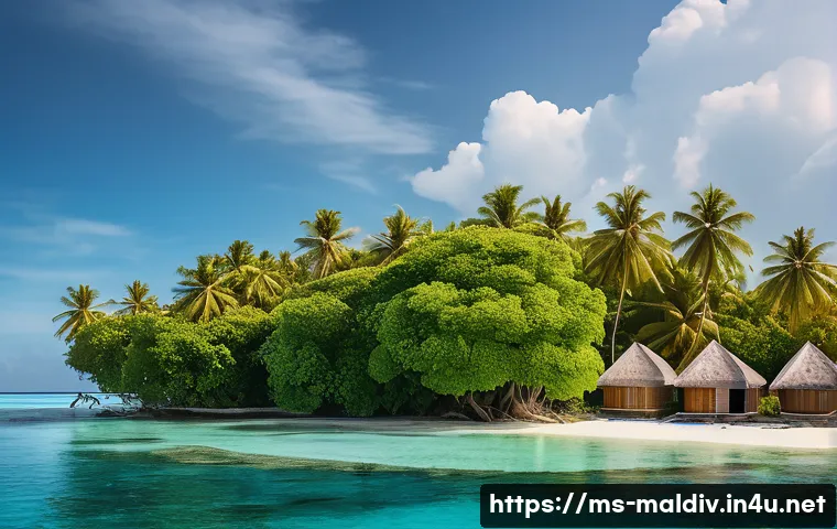몰디브 국제 기후 회의 - A serene coastal village in the Maldives facing the effects of climate change, showing rising sea le...