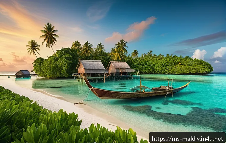 몰디브 유명 다큐멘터리 관련 이미지 1