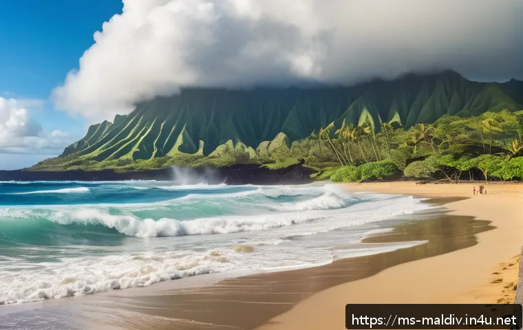 몰디브와 하와이 비교 관련 이미지 1
